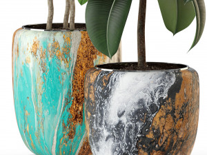 Plants collection 299 3D 모델