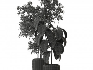 Plants collection 299 3D 모델
