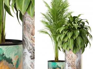 Cole&ccedil;&atilde;o de plantas 300 Modelo 3D