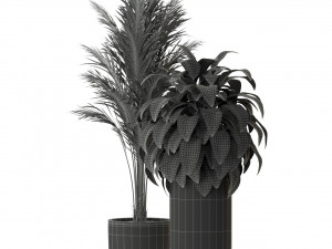 पौधों का संग्रह 300 3D मॉडल