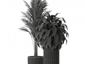 Plants collection 300 3D Model