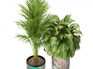 पौधों का संग्रह 300 3D मॉडल