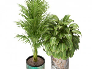 Plants collection 300 3D Model