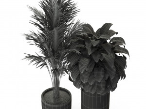 पौधों का संग्रह 300 3D मॉडल