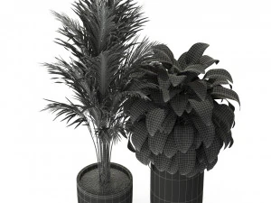 Plants collection 300 3D Model