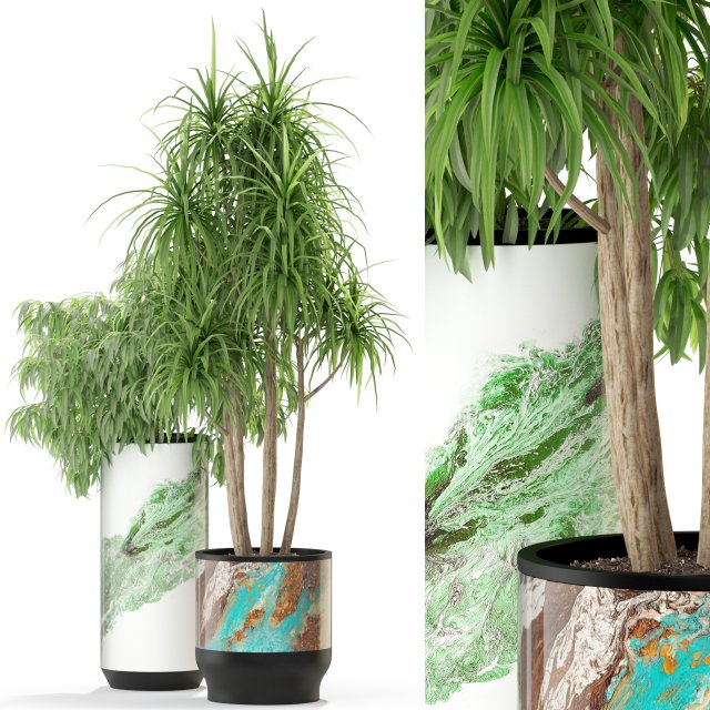 Plants collection 301 3D 模型 .c4d .max .obj .3ds .fbx .stl .blend 