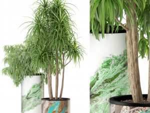 Plants collection 301 3D मॉडल