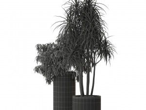 Plants collection 301 3D 模型