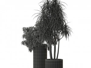Plants collection 301 3D Model
