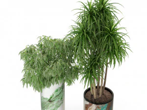 Plants collection 301 3D Model