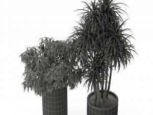 Plants collection 301 3D 模型