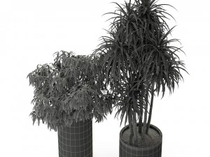 Plants collection 301 3D Model