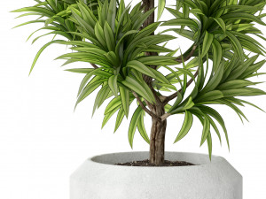 Plants collection 302 3D Model