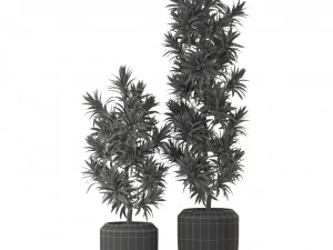 Plants collection 302 3D Model