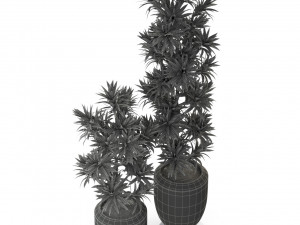Plants collection 302 3D Model
