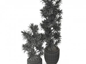 Plants collection 302 3D Model