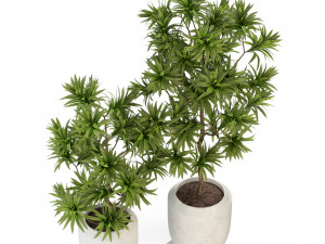 Plants collection 303 3D Модель