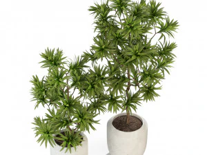 Plants collection 303 3D Model