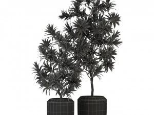 Plants collection 303 3D Model