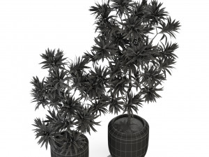 Plants collection 303 3D Модель