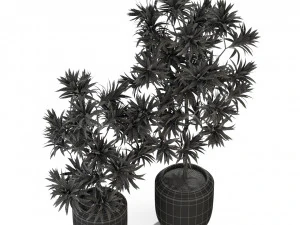 Plants collection 303 3D Model