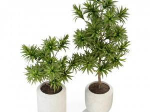 Plants collection 304 3D Model