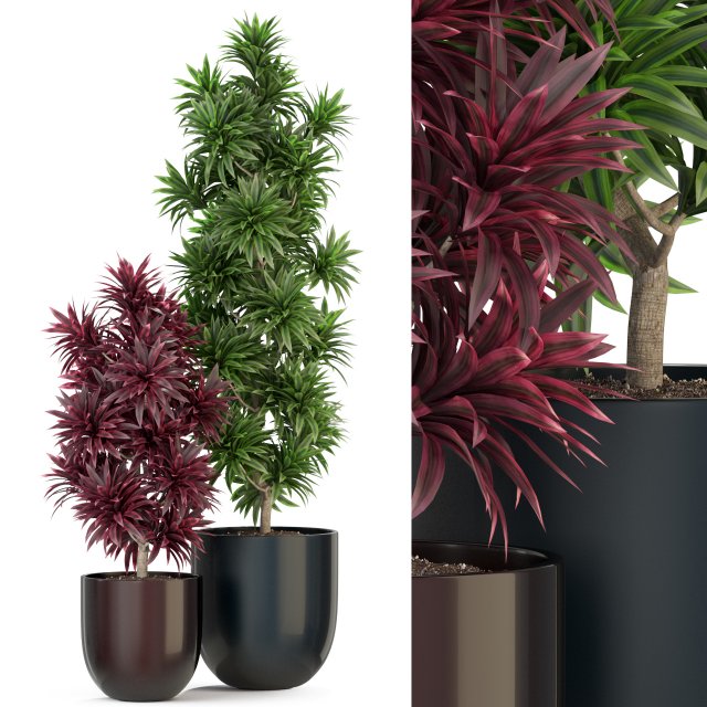 Plants collection 305 3D 模型 .c4d .max .obj .3ds .fbx .stl .blend 