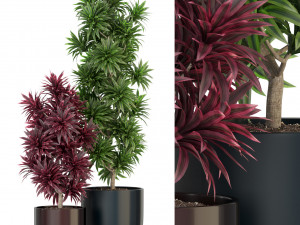 Plants collection 305 Modelo 3D