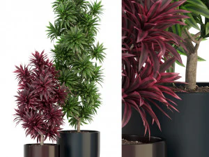 Plants collection 305 3D Model