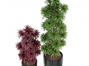 Plants collection 305 3D Model