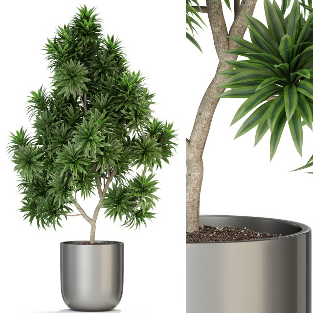 Plants collection 306 3Dモデル .c4d .max .obj .3ds .fbx .stl .blend 