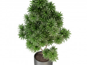 Plants collection 306 3Dモデル
