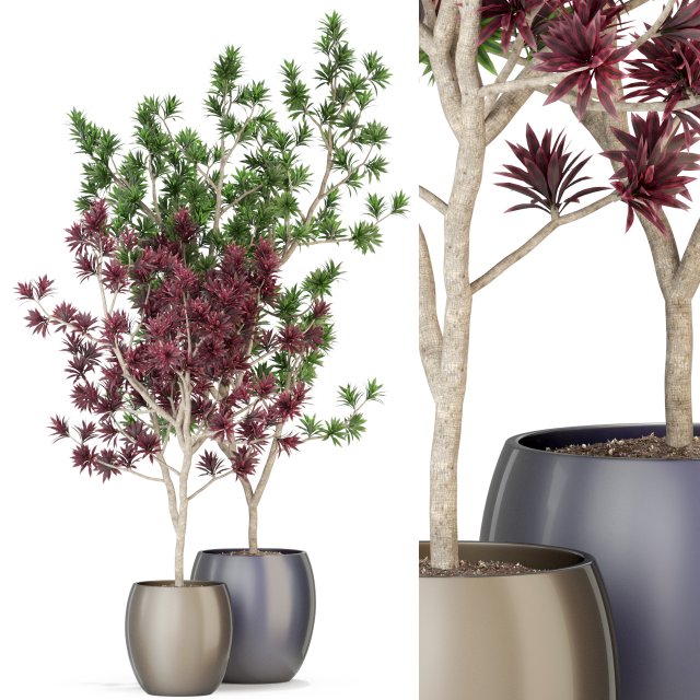 Plants collection 307 Modèle 3D .c4d .max .obj .3ds .fbx .stl .blend 