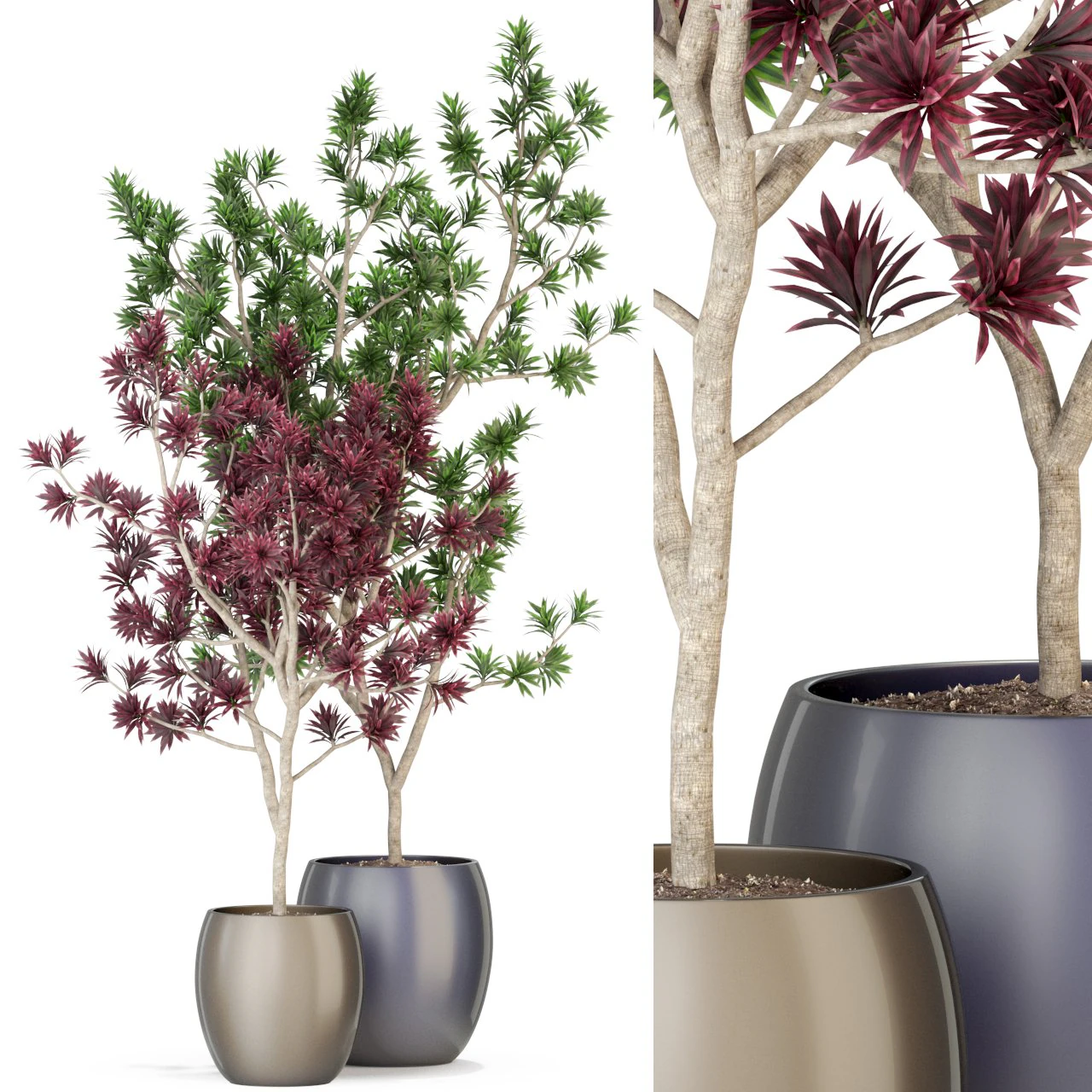 Plants collection 307 3D Model .c4d .max .obj .3ds .fbx .stl .blend 