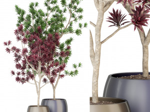 Plants collection 307 3D Model