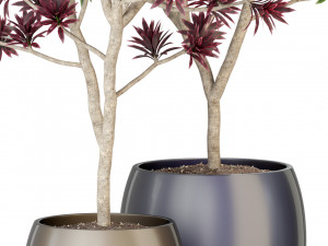 Plants collection 307 Modèle 3D