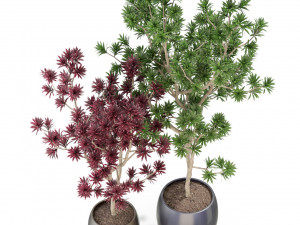 Plants collection 307 Modèle 3D