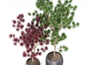 Plants collection 307 3D Model