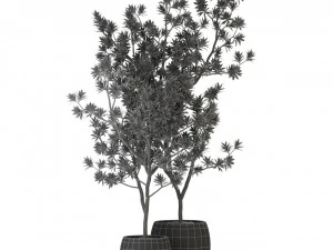 Plants collection 307 3D Model