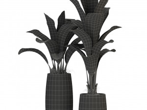 Plants collection 309 3D 模型