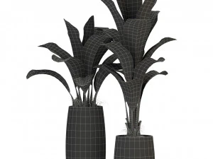 Plants collection 309 3D Model