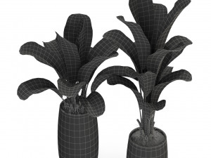 Plants collection 309 3D 模型