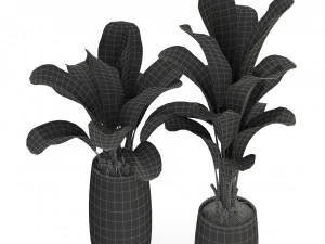 Plants collection 309 3D Model