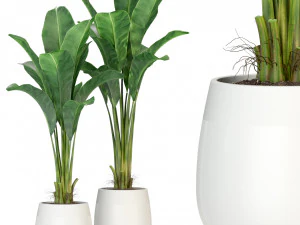 पौधों का संग्रह 310 3D मॉडल