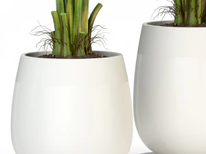 Plants collection 310 3D Model