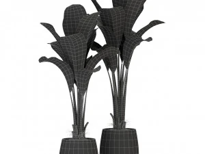 Plants collection 310 3D Model