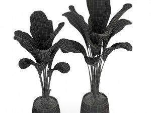 Plants collection 310 3D Модель