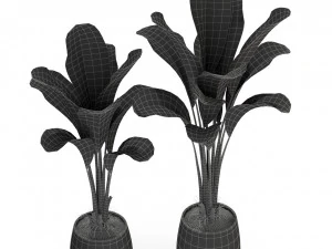 Plants collection 310 3D Model