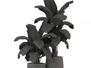 Plants collection 311 3D Model
