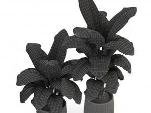 Plants collection 311 3Dモデル